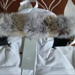 Canada Goose Men's White Coat - Image 3